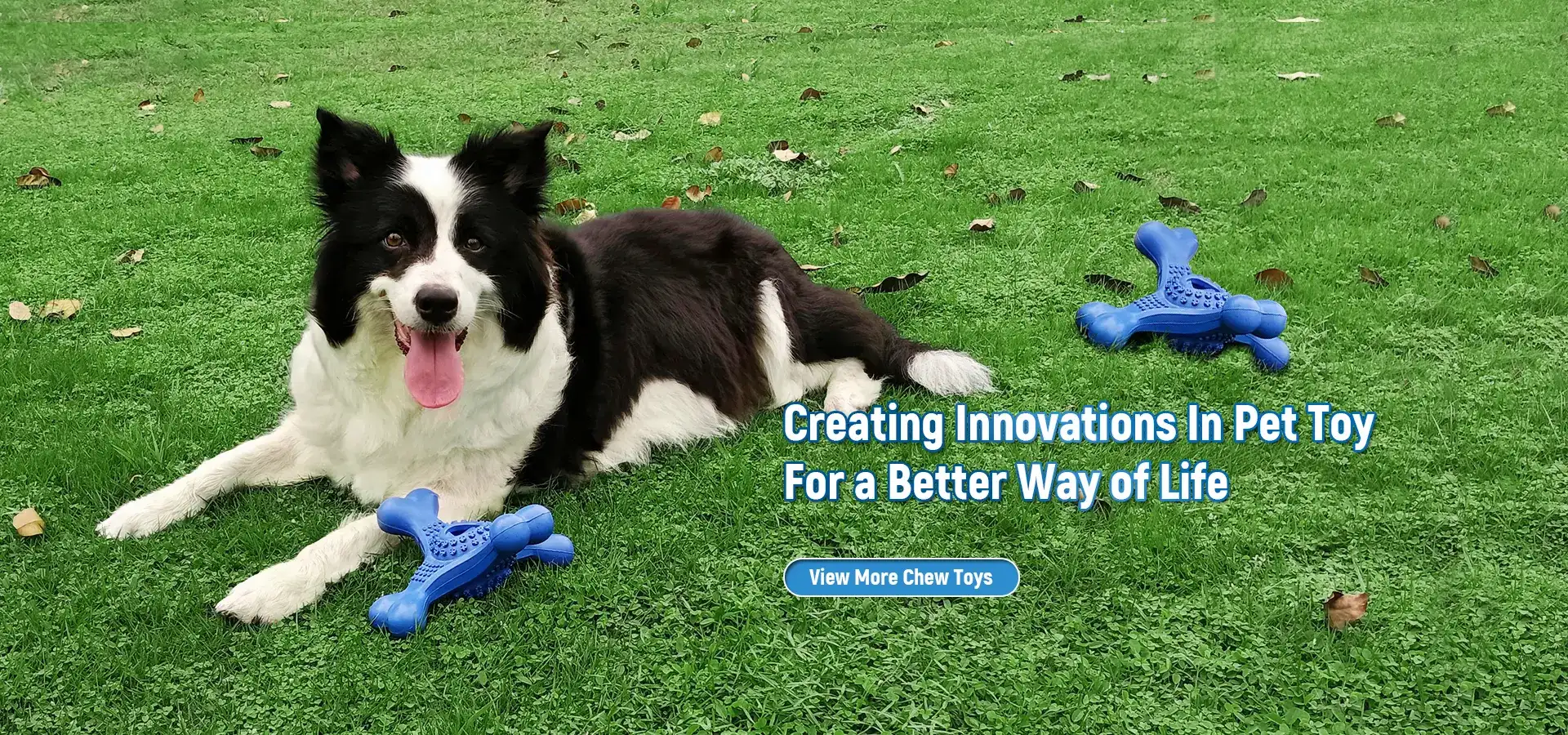 Chew Dog Oyuncaq İstehsalçıları